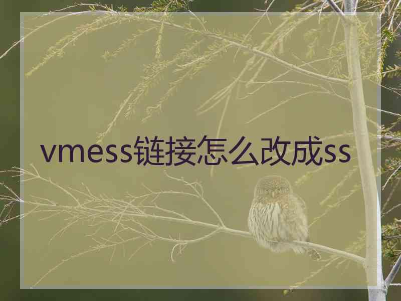 vmess链接怎么改成ss