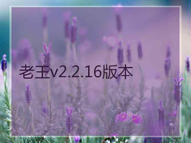 老王v2.2.16版本