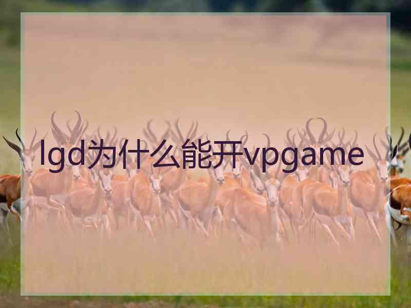 lgd为什么能开vpgame