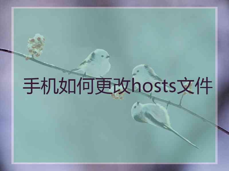 手机如何更改hosts文件