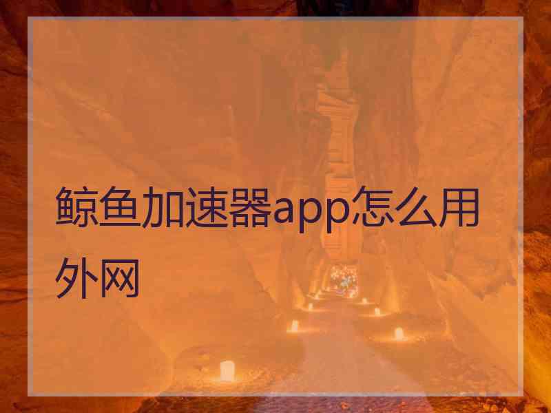 鲸鱼加速器app怎么用外网