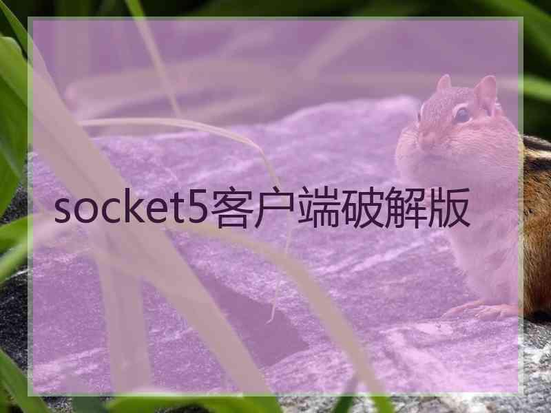 socket5客户端破解版