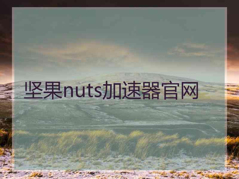 坚果nuts加速器官网