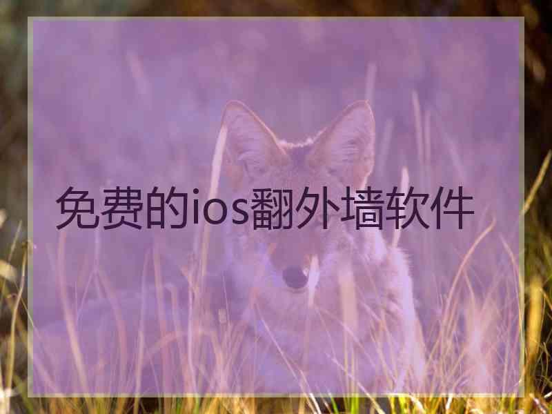 免费的ios翻外墙软件