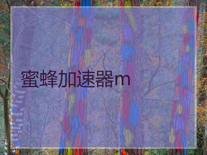 蜜蜂加速器m