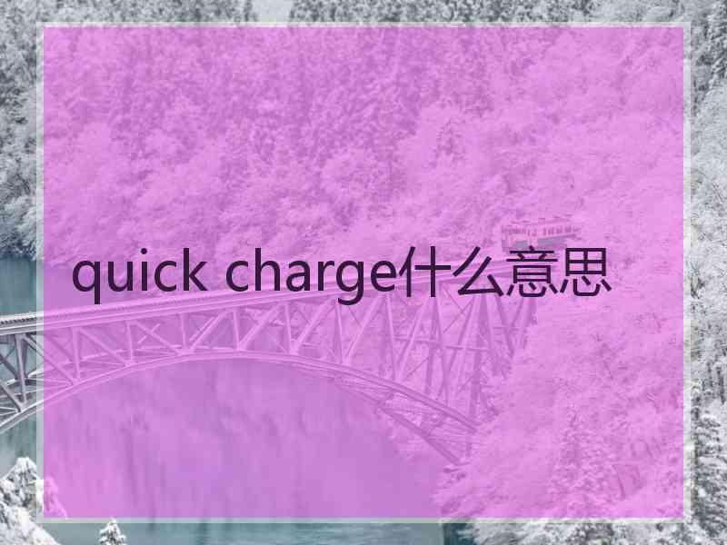 quick charge什么意思