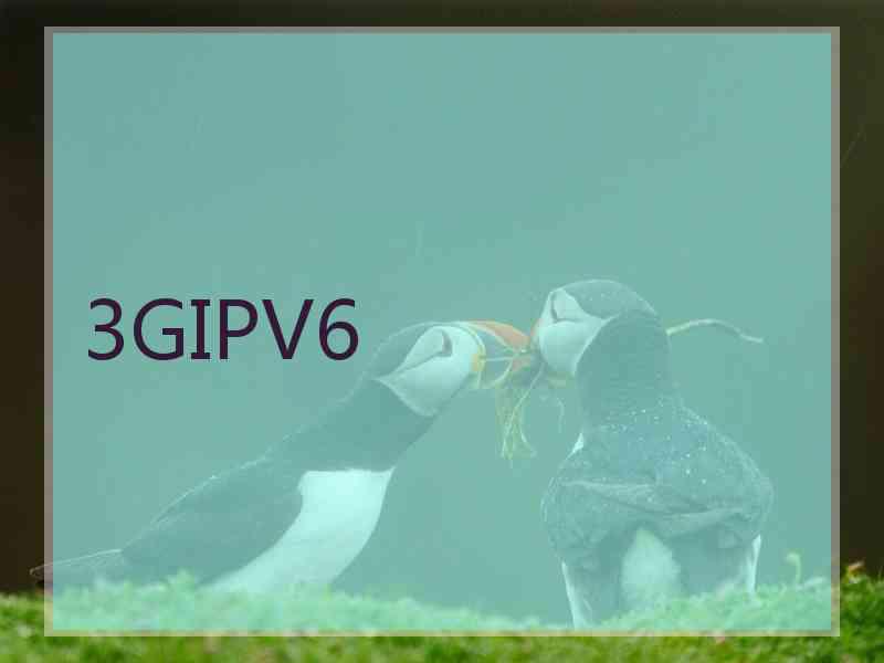 3GIPV6