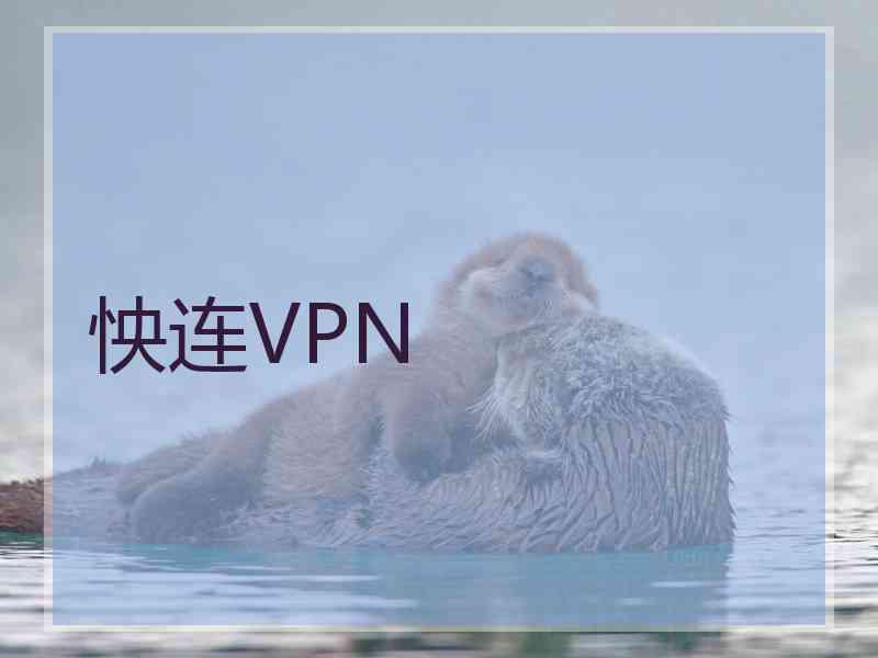 怏连VPN