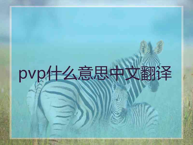 pvp什么意思中文翻译