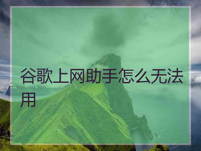 谷歌上网助手怎么无法用