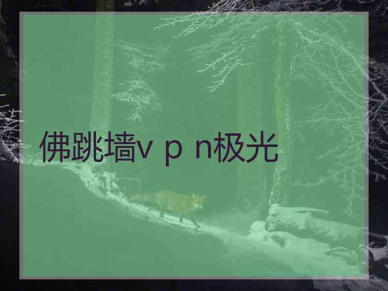 佛跳墙v p n极光