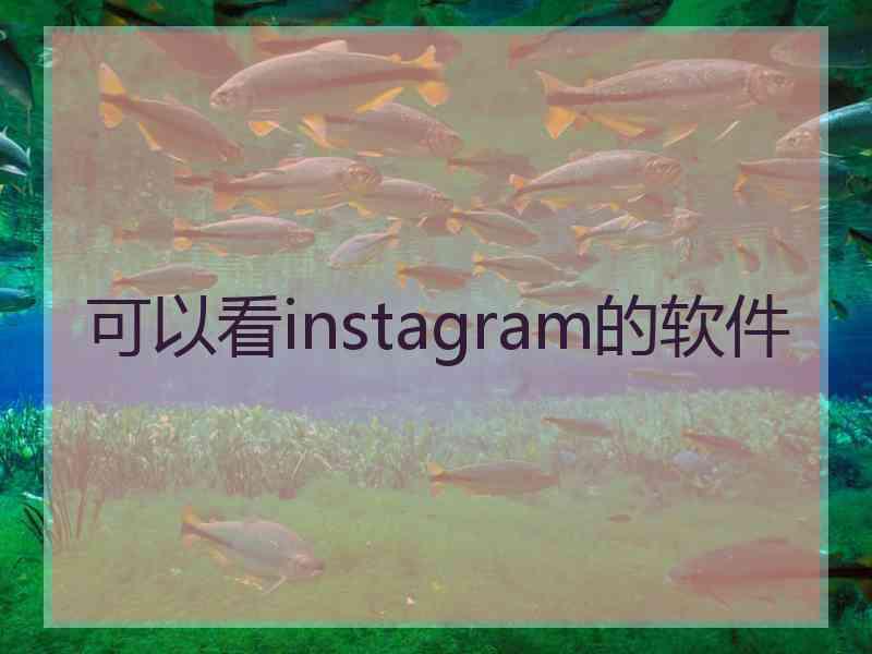 可以看instagram的软件