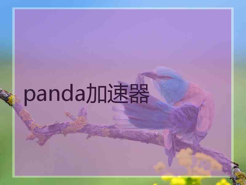 panda加速器