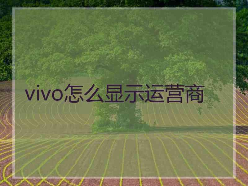 vivo怎么显示运营商