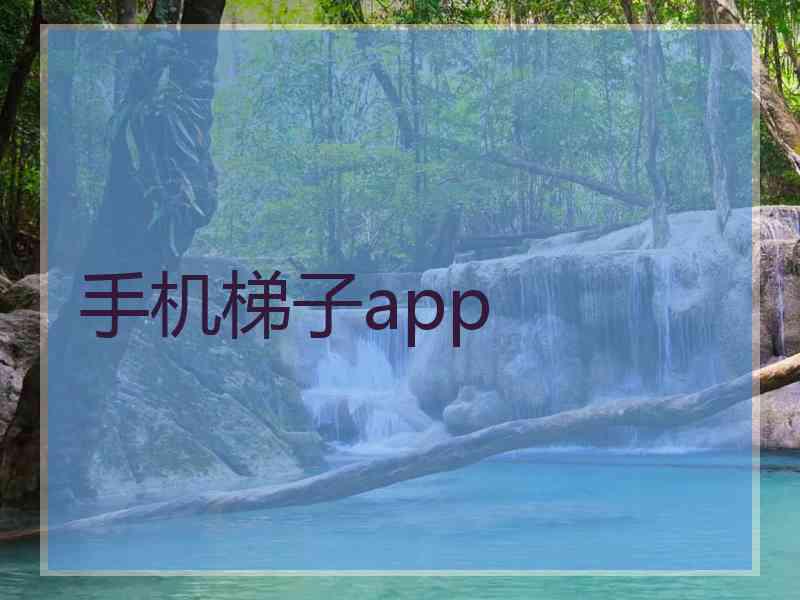 手机梯子app