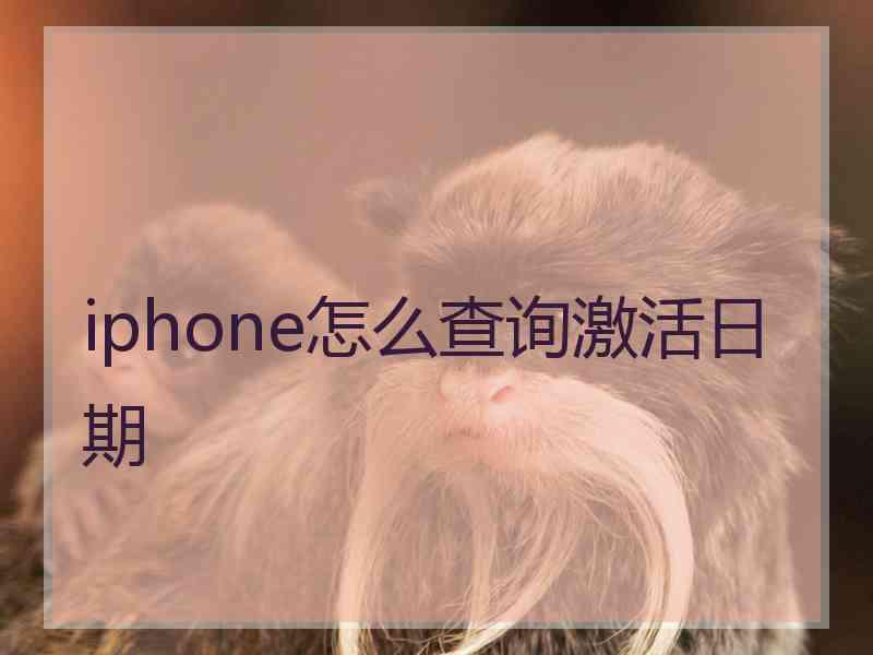 iphone怎么查询激活日期