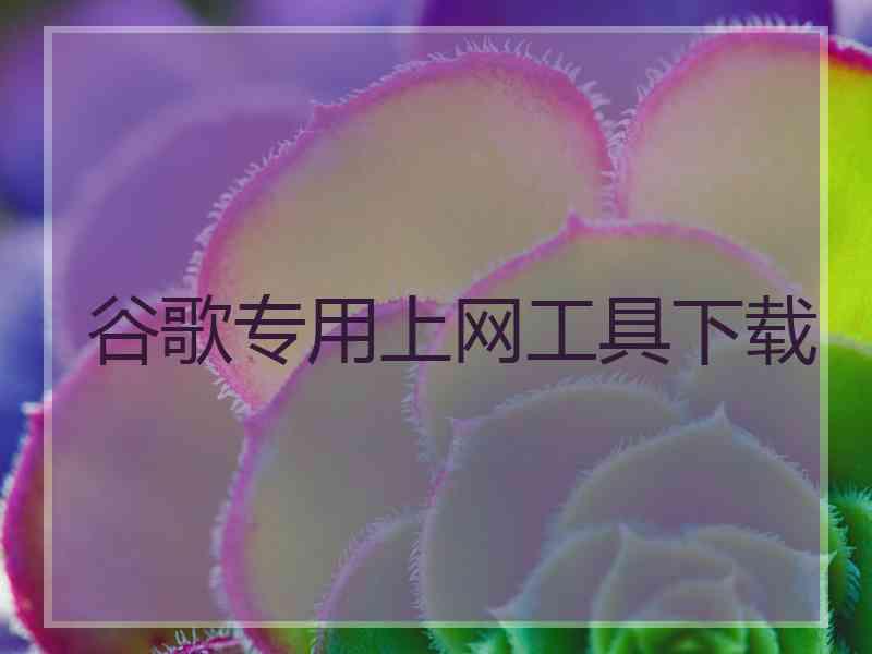 谷歌专用上网工具下载