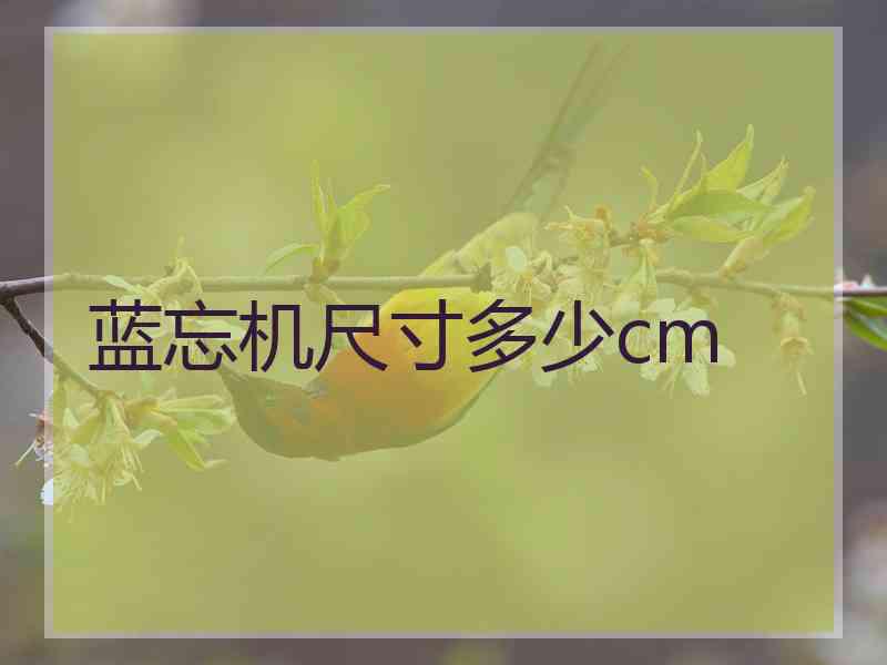 蓝忘机尺寸多少cm