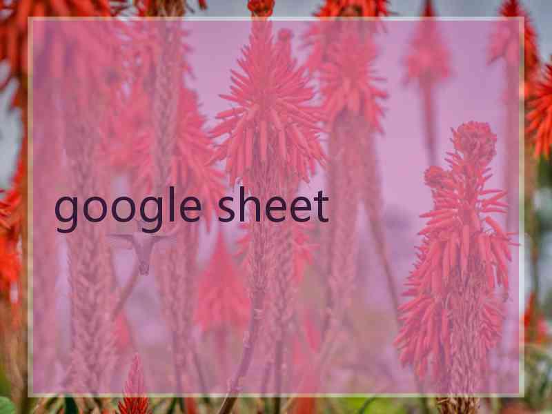 google sheet