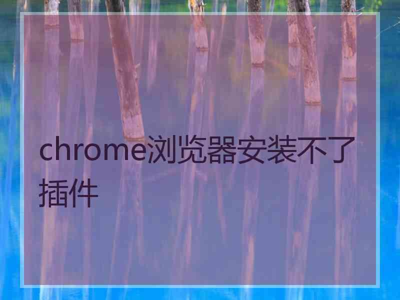 chrome浏览器安装不了插件