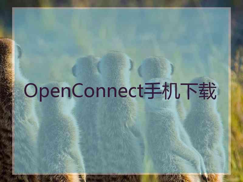 OpenConnect手机下载