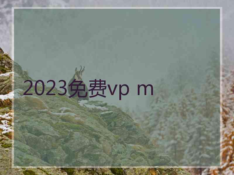 2023免费vp m