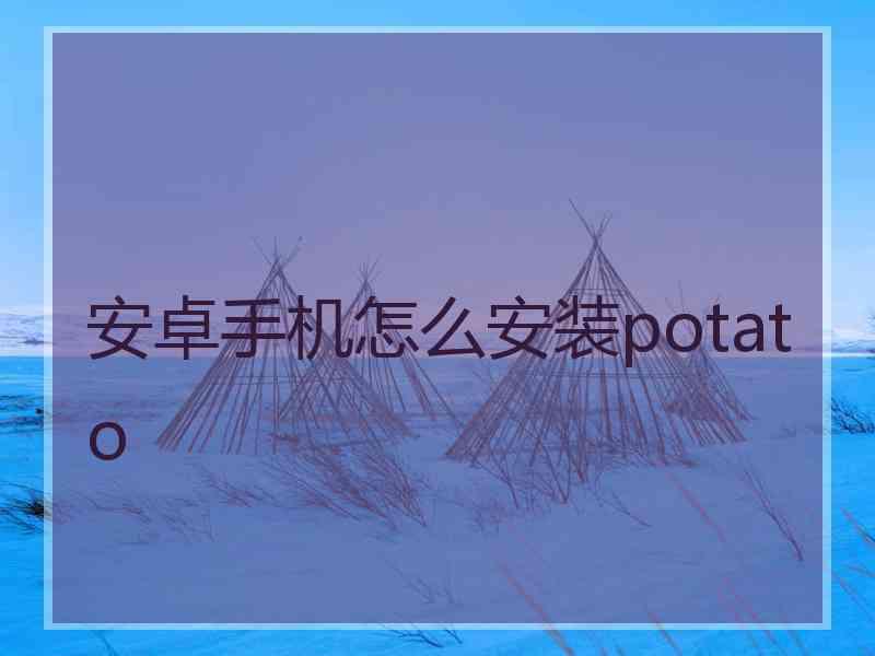 安卓手机怎么安装potato