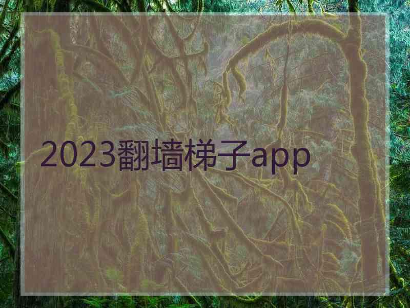 2023翻墙梯子app