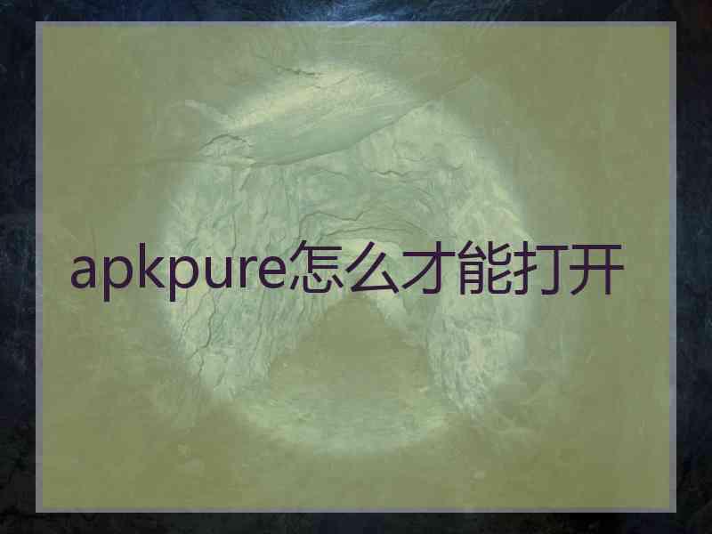 apkpure怎么才能打开