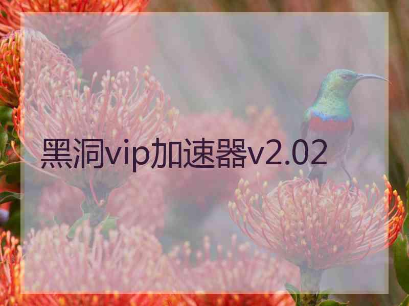 黑洞vip加速器v2.02