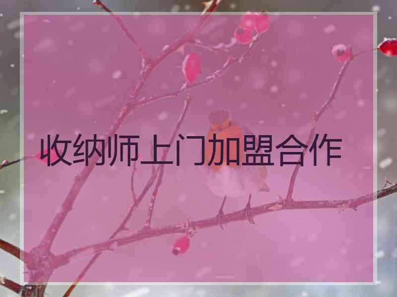 收纳师上门加盟合作