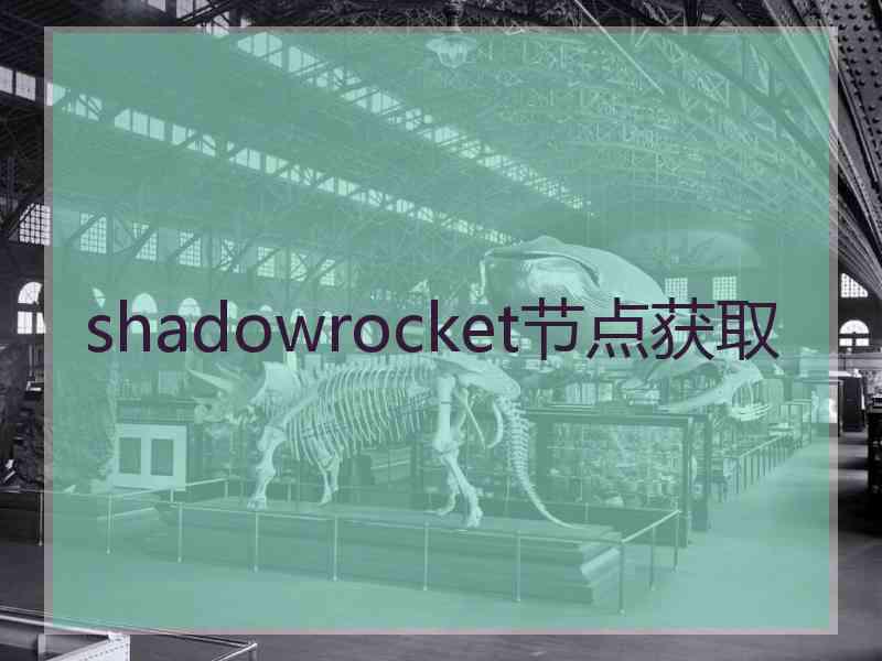 shadowrocket节点获取