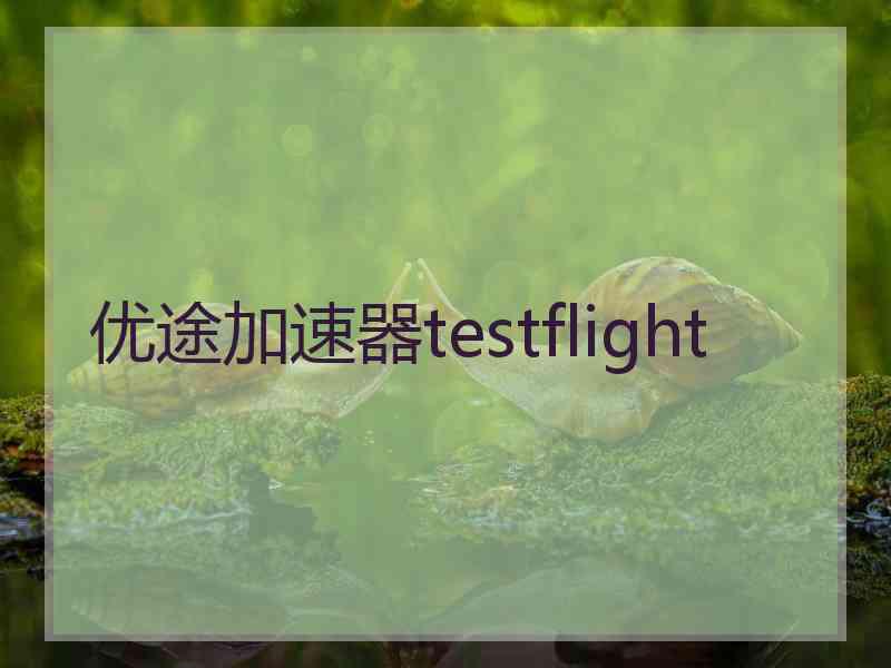 优途加速器testflight