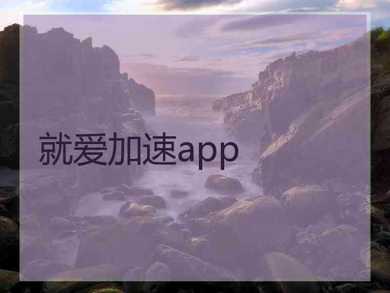 就爱加速app