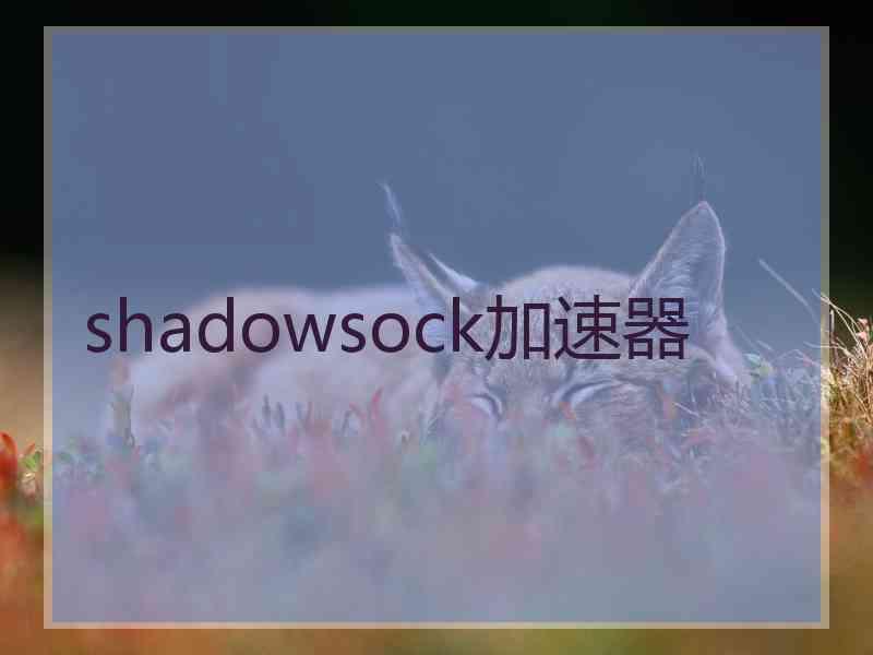 shadowsock加速器