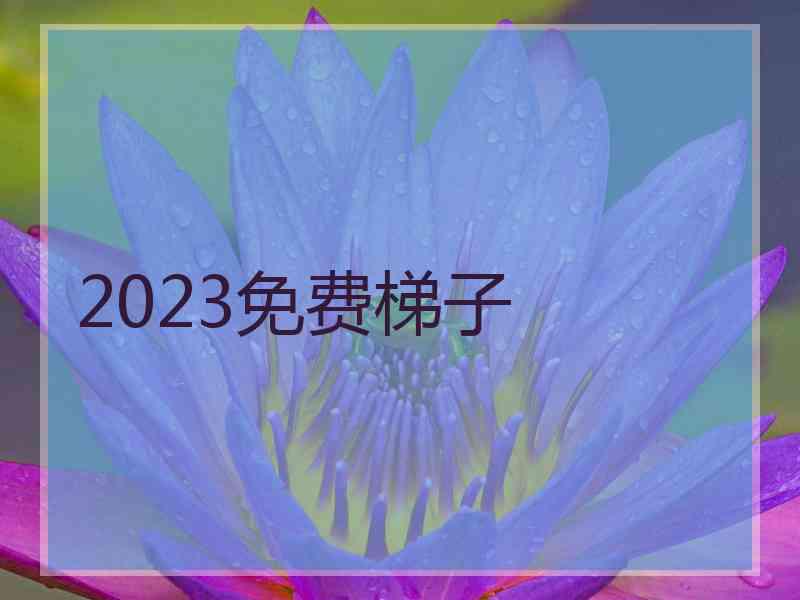 2023免费梯子