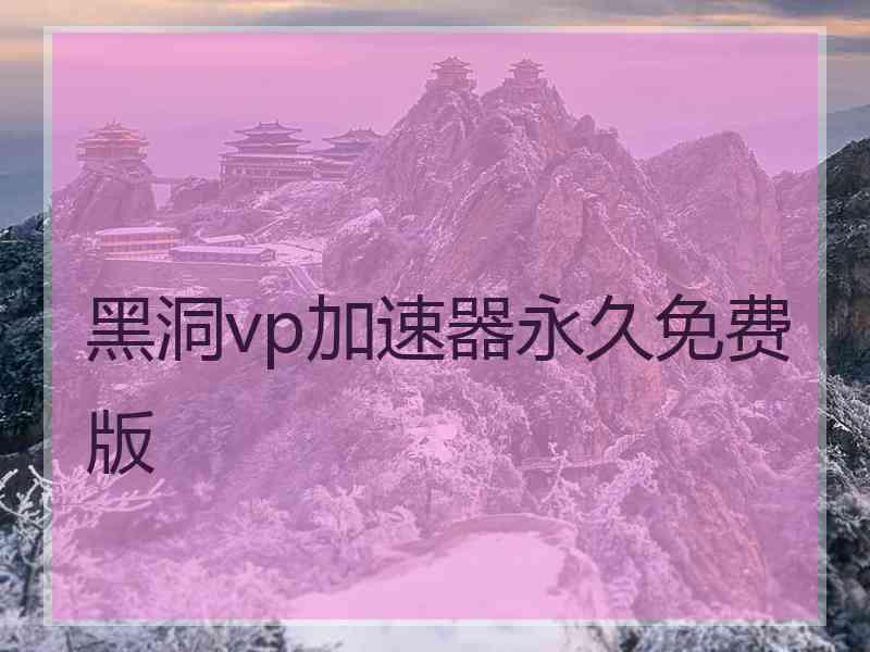 黑洞vp加速器永久免费版