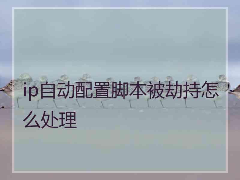 ip自动配置脚本被劫持怎么处理