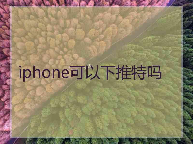 iphone可以下推特吗