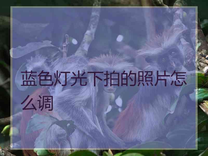 蓝色灯光下拍的照片怎么调