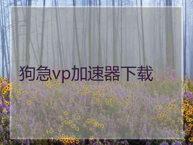 狗急vp加速器下载