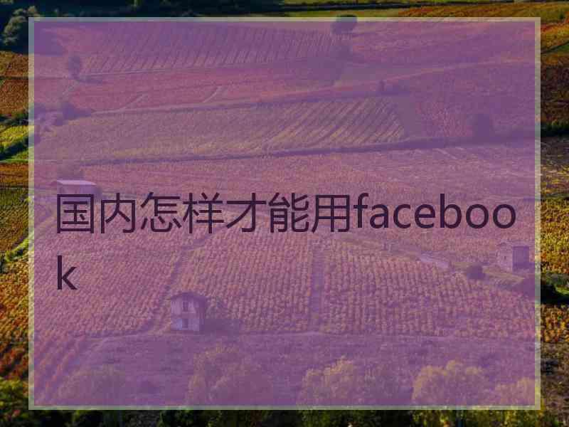 国内怎样才能用facebook