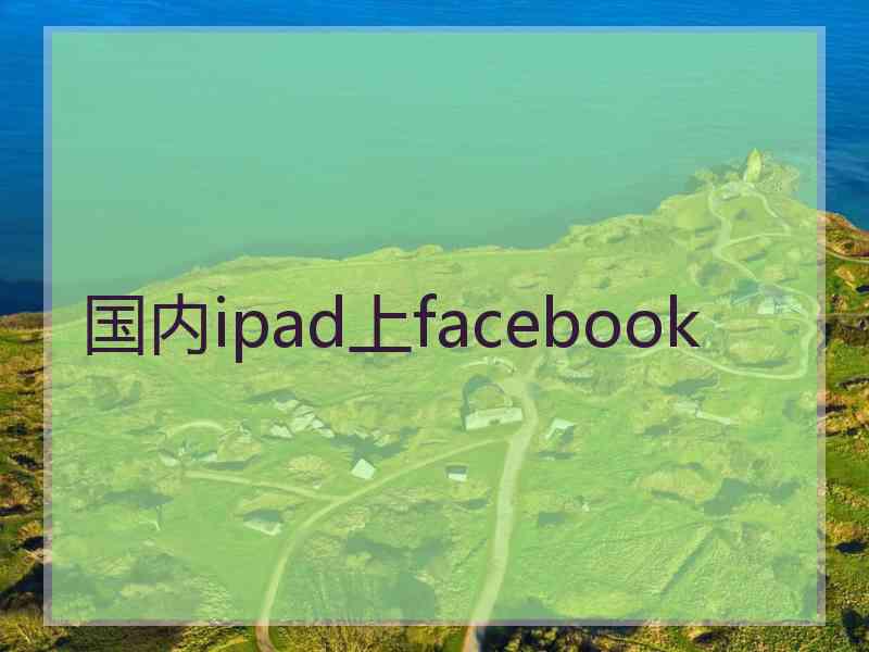 国内ipad上facebook