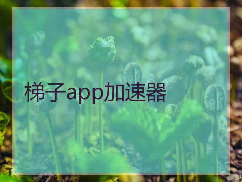 梯子app加速器