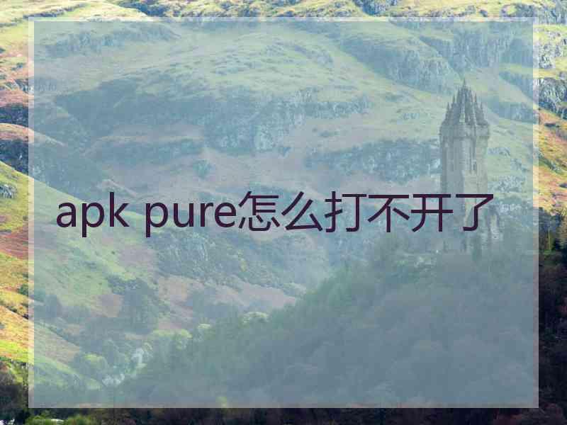 apk pure怎么打不开了