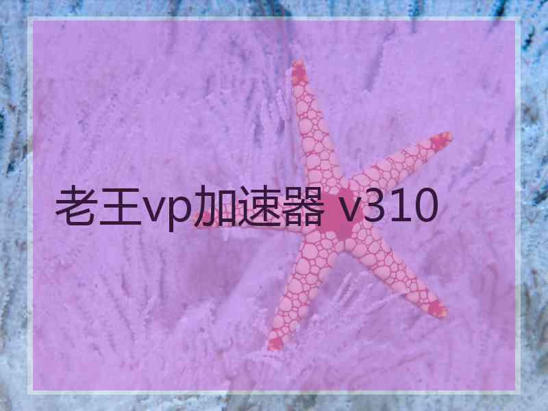 老王vp加速器 v310