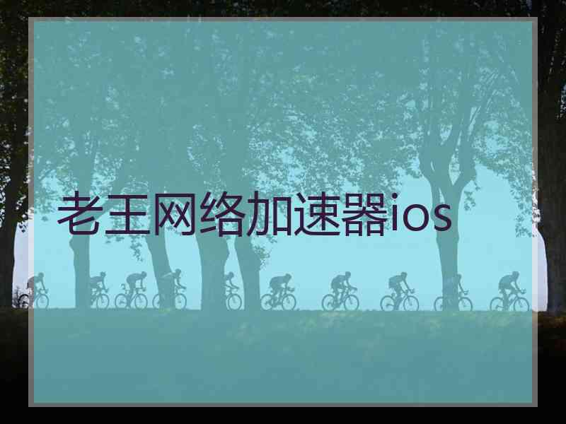 老王网络加速器ios