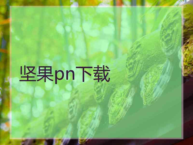 坚果pn下载