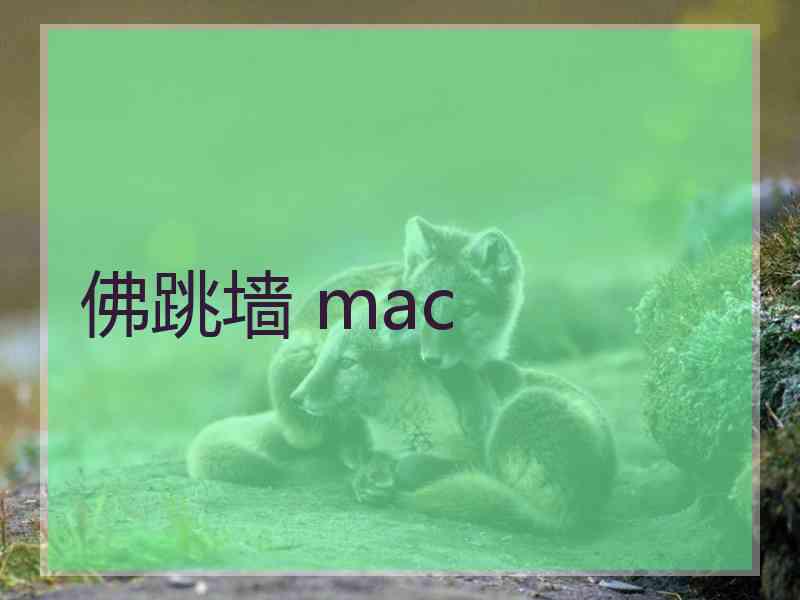 佛跳墙 mac