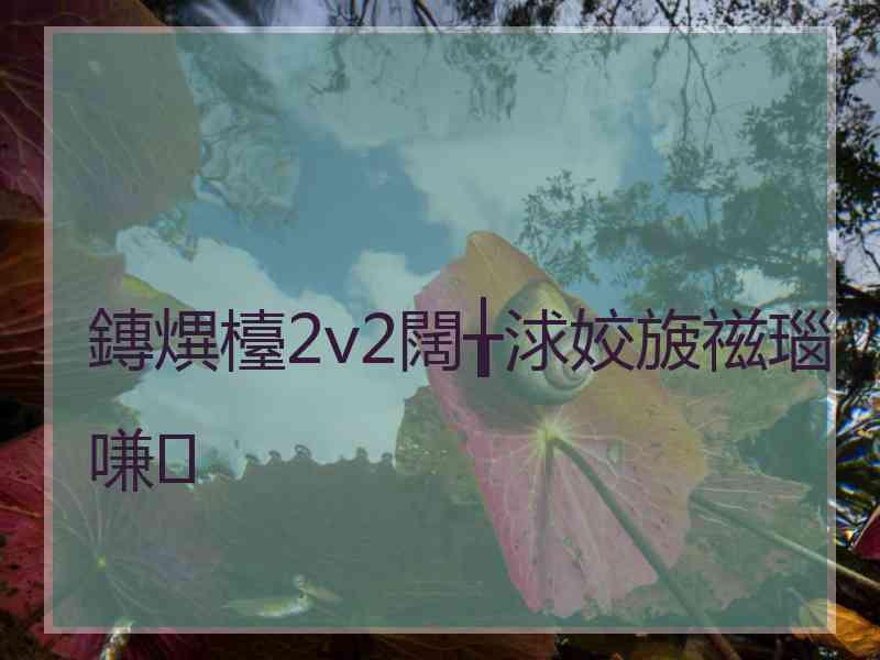 鏄熼檯2v2闊╁浗姣旇禌瑙嗛